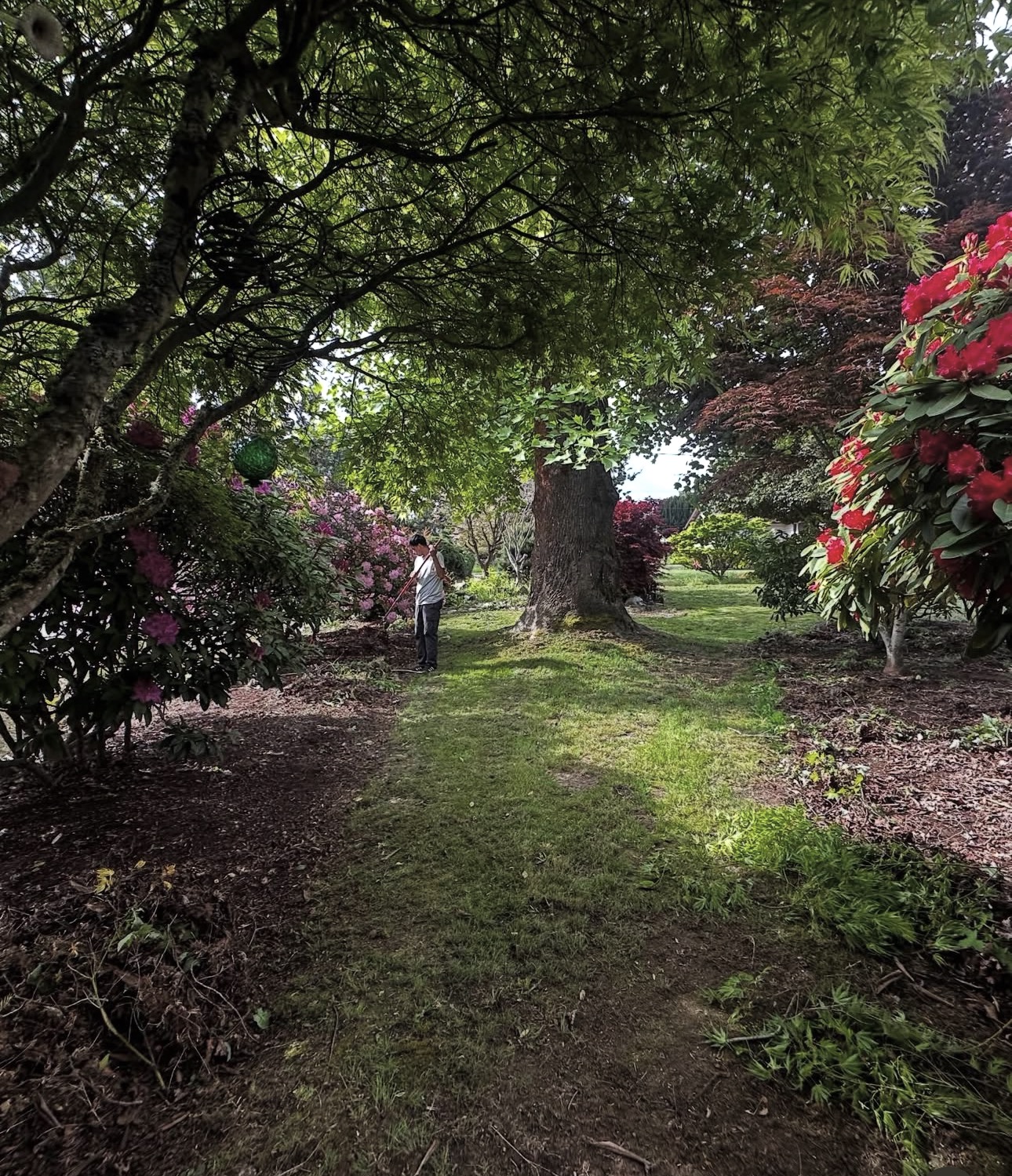 Garden path with overgrown beds and loose debris before cleanup